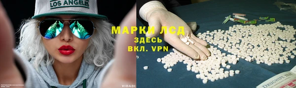 СК Нефтегорск