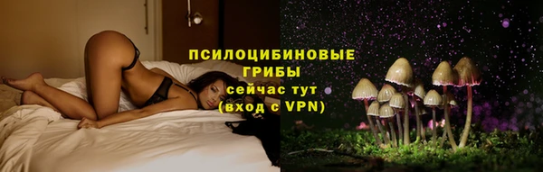 прущие грибы Нея