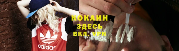 прущие грибы Нея