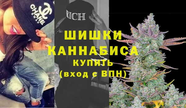 прущие грибы Нея