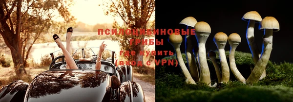 СК Нефтегорск