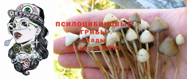 прущие грибы Нея