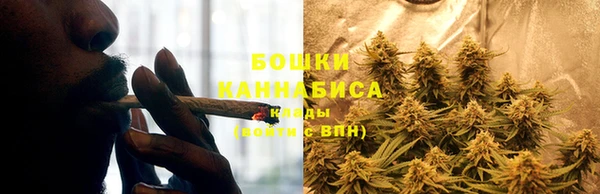 СК Нефтегорск
