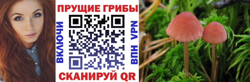 Псилоцибиновые грибы Magic Shrooms Ершов