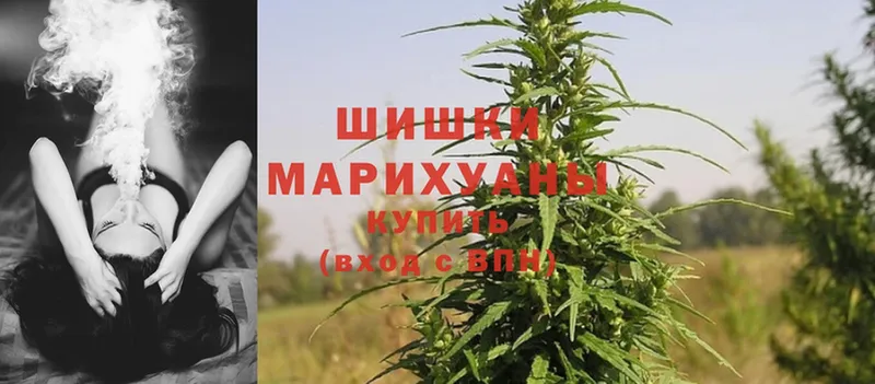 даркнет наркотические препараты  Ершов  МАРИХУАНА THC 21% 